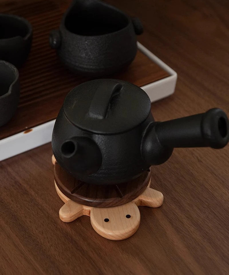 Turtle Coaster