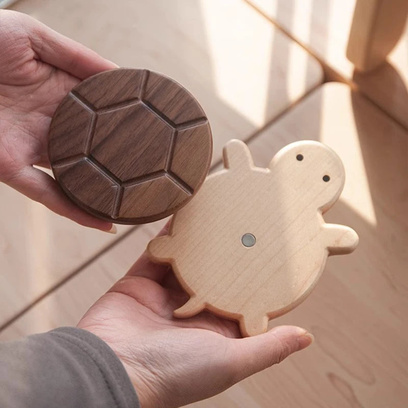 Turtle Coaster