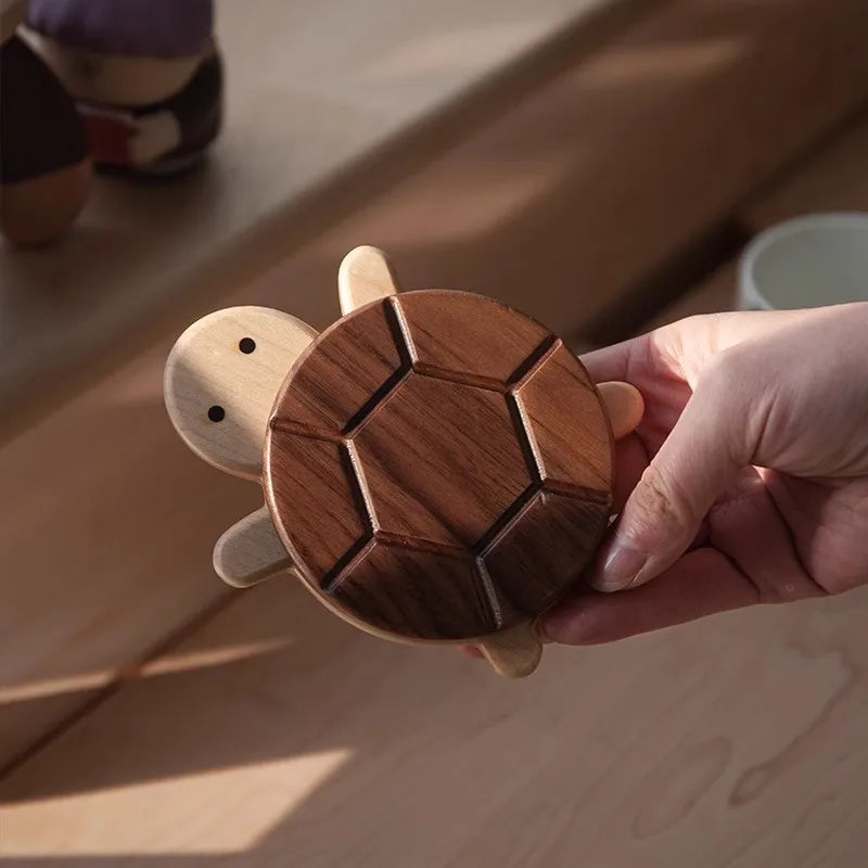 Turtle Coaster